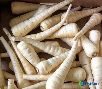 images/1660636070423clasificador de chirivías 1.jpg